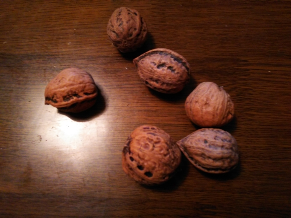 10種類はある おもちの食べ方♪: Dompa堂工房